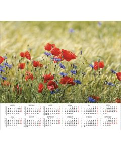 Seinakalender TRIO EXTRA, avatud mõõt 297x640mm (PILT nr. 2)