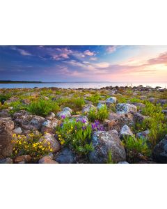 Seinakalender TRIO EXTRA, avatud mõõt 297x640mm (PILT nr. 9)