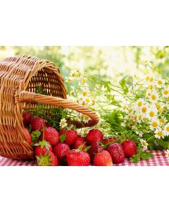 Seinakalender TRIO EXTRA, avatud mõõt 297x640mm (PILT nr. 10)