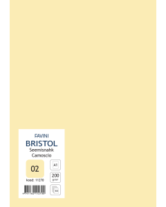 Kartong Bristol 60,5x85cm/200gr, seemisnahk (02), 10 lehte pakis