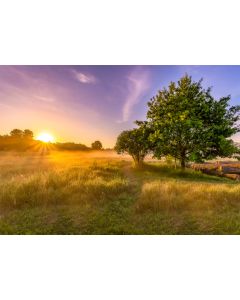 Seinakalender TRIO EXTRA, avatud mõõt 297x640mm (PILT nr. 11)