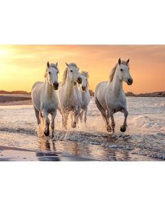 Seinakalender TRIO EXTRA, avatud mõõt 297x640mm (PILT nr. 12)