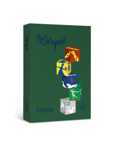 Le Cirque A4 160 g, metsaroheline (Forest Green 304), 250lehte