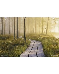 Seinakalender TRIO EXTRA, avatud mõõt 297x640mm (PILT nr. 8)