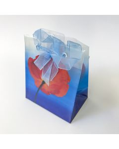 Gift bag  Transp. Moon 12x10