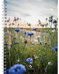 Õpetaja raamatu spiraalköites SISU A5