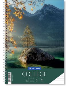 College A4, 60 lehte, jooneline, Kivi