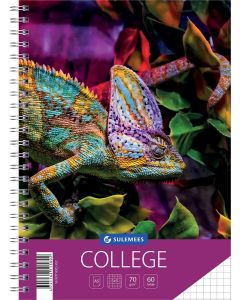 College A5, 60 lehte, 5x5 ruut, Kameeleon