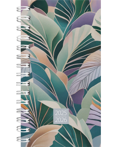 Mini kool, plastkaaned - pilt 4