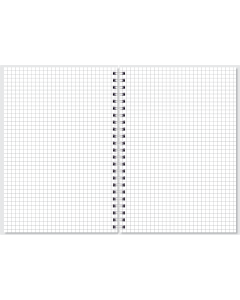 Nature VIP A5 ruut, 70 lehte SISU