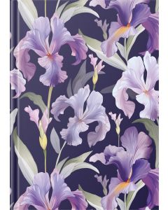 Päev A5, kõvaköide, PILT 2