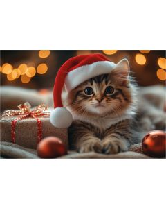 Postkaart A6, pilt nr 1