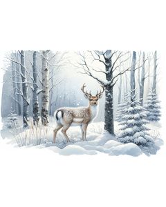 Postkaart A6, pilt nr 5