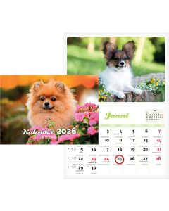 Kutsukalender, 240x330mm, klamberköide
