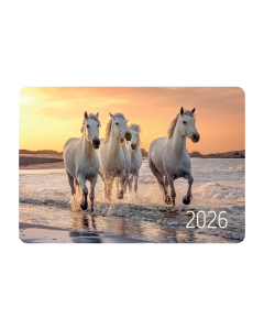 Taskukalender 65x95mm, pilt nr 7