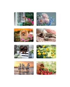 Taskukalender 2026,  kõik pildid