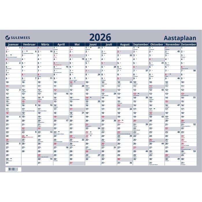 Seinaplakat AASTAPLAAN  700*500mm